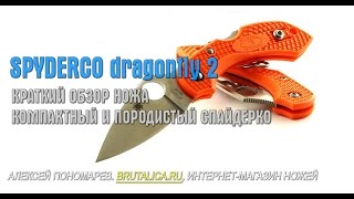 обзор ножа Spyderco Dragonfly 2 orange [upl. by Nimrac]