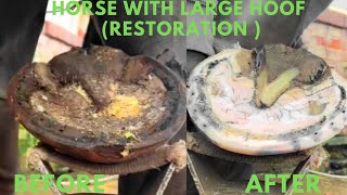 Shire Horse Complete restoration Shire Horse Restoration Compilation shirehorse huge massivehoof [upl. by Augustina]