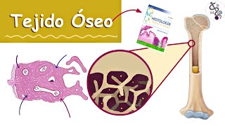 Tejido Óseo Hueso  Histología Ross  Medicina [upl. by Egdirdle]