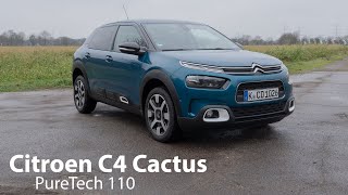 Citroen C4 Cactus PureTech 110 Test  Heute noch so kultig und extravagant wie früher  Autophorie [upl. by Amalle]