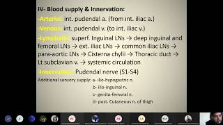 Anatomy of external Genitaliavulvamedvision [upl. by Thurman622]