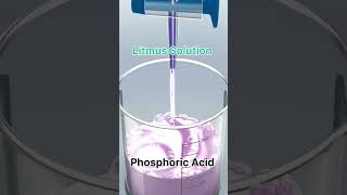 phosphoric acid with litmus solution shortsfeed practical viral chemistry neet jee [upl. by Etty]