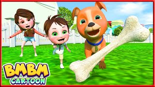 My Dog Song 🐶⚽ Bingo Song 🐶⚽ Bingo  more Sing Along Kids Songs Bmbm Cartoon After School Club [upl. by Aivataj]