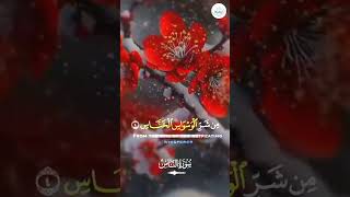 quraniayaat islamicshorts viralshort waz newsfeed shorts2024 [upl. by Eneg]