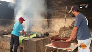 Elaboración de la barbacoa estilo Barbacoa el Taco Ranchero de Tulancingo [upl. by Crane]