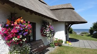 Summer at The Cottages Ireland [upl. by Aihsined]