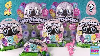 Hatchimals CollEGGtibles Surprise Egg Opening Limited Edition Toy Review  PSToyReviews [upl. by Adalbert]