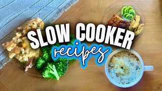 3 Easy Slow Cooker Recipes  Crockpot Recipes  Whats for Dinner  MEL COOP [upl. by Giardap130]