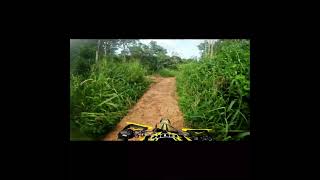 Wheel Ride on My Dirt Bike  Suzuki Rm [upl. by Elatsyrk]