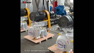 Tobee® 4x3 inch Horizontal Mining Pumps with CV Driven type mininghighdensityslurrypump machine [upl. by Nednal668]