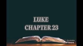 Holy Bible  The Book of LUKE  Chapter 23  Audio Bible ESVEnglish Standard Version [upl. by Ena]