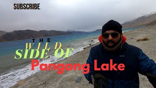 Lost in the Beauty of Pangong Lake [upl. by Nilrac334]