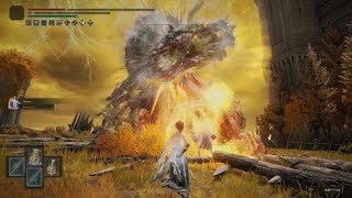 NG Nomad v Tree Root Field Boss  HEALER BUILD  ELDEN RING [upl. by Gershom]