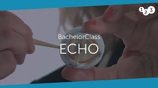 Echo BachelorClass  Your introduction to basic echocardiography [upl. by Afira549]