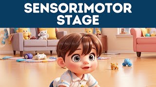 Sensorimotor Stage of Development Explained in 3 Minutes [upl. by Yekram]