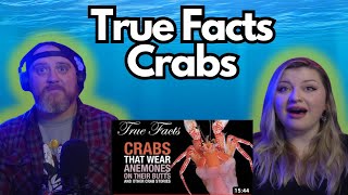 True Facts Incredible Crab Stories zefrank  HatGuy amp gnarlynikki React [upl. by Kred]