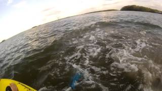 Manatee Launches Kayak Out of Water [upl. by Rodoeht]