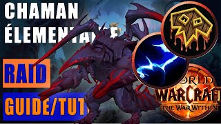 Guide Chaman Élémentaire en RAID FARSEER 110 [upl. by Nevad]