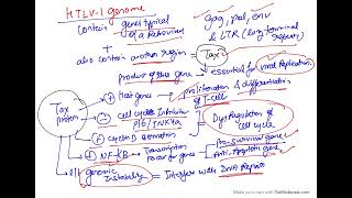 Microbial carcinogenesis oncogenic RNA viruses  HTLV 1 [upl. by Aizirtap]