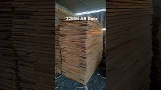 22mm AB Door song [upl. by Anuqahs]