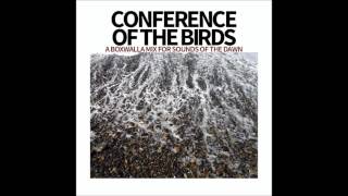 Conference Of The Birds – A Boxwalla Mix for Sounds Of The Dawn [upl. by Devon]