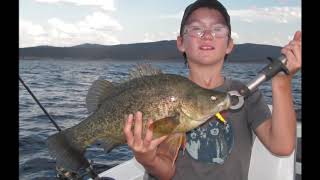 Copeton Dam Murray Cod Golden Perch Yellowbelly Redfin [upl. by Mafala235]