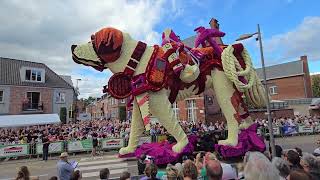 Bloemencorso Loenhout 2024 [upl. by Nyliak809]