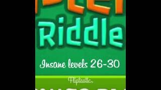 Real Einsteins riddle insane levels 2630 [upl. by Shermie]