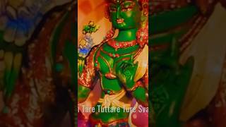 Tara’s All Accomplishing Mantra Om Tare Tuttare Ture Svaha [upl. by Addia958]