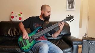 Cannibal Corpse  The Bleeding Bass Cover [upl. by Nivla]