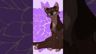 🤎🤍BriarlightBelle Églantine🤍🤎Warrior CatsLa Guerre des Clanswarriorcats laguerredesclans [upl. by Isleana]