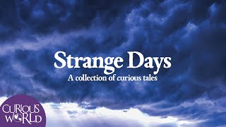 Strange Days A Collection of Curious Tales [upl. by Omar224]