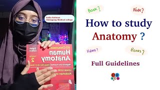 How To Study Anatomy  Booklist  Best Youtube Channels  Notes  Strategy  Prof Tips  Dr Med [upl. by Ellenej]