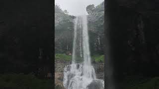 Kamshet waterfall pune maharashtra topest shorts travel nature food foodie [upl. by Barnaba]