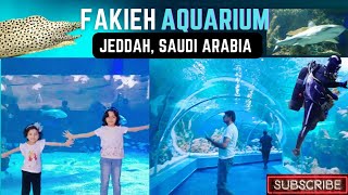 Fakieh Aquarium Jeddahفقيه أكواريومTour at Fakieh Aquarium in Jeddah Saudi Arabiaالسعوديةجدة [upl. by Nesnej321]