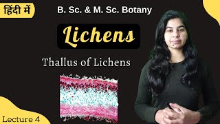 Lichens  Thallus of Lichens  in Hindi  Botany  B Sc amp M Sc [upl. by Tyoh109]