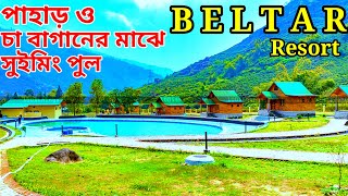 Beltar resort l Beltar resort Kurseong l Offbeat Darjeeling l Best offbeat place in North Bengal [upl. by Aliban778]