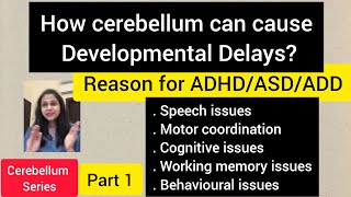 How cerebellum can cause developmental delaysReason for ADHDASDADD amp learning issuespart 1 [upl. by Iden373]