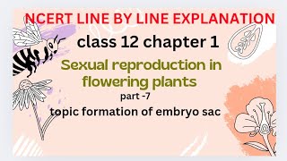 formation of embryo sacsexual reproduction in flowering plants NCERT line by line explanation [upl. by Konikow]