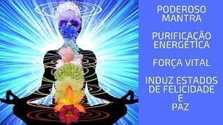 PODEROSO MANTRA DE PURIFICAÇÃO ENERGÉTICA E FORÇA INTERIOR ENCONTRE O ESTADO DE FELICIDADE E PAZ [upl. by Oibirot541]