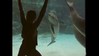 Girl Makes Dolphin Laugh [upl. by Mackenie]