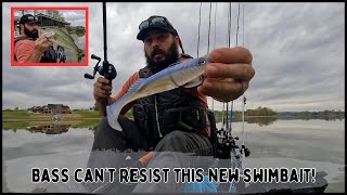 Is this the best new swimbait on the market [upl. by Euqinaj430]