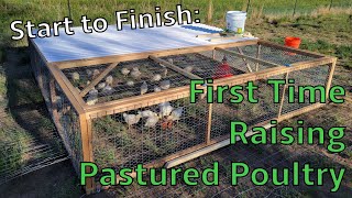 Start to Finish Raising Pastured Poultry Joel Salatin Method [upl. by Idell562]