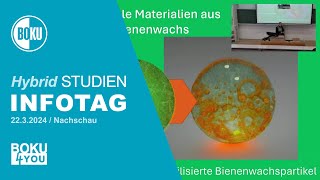 Bienenwachs mit der Brille der Nanotechnologie betrachtet  nachhaltige hightech Materialien [upl. by Axe]