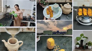 Home organizing ideas 😀  சீக்கிரமாவே Happy News share பண்றேன் 🍍tikka badham kanji  evening vlog [upl. by Novahc]