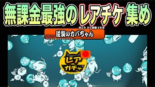 【にゃんこ大戦争】超極ネコ祭に向けてレアチケ集めたらとんでもなかった [upl. by Zsamot]