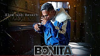 BONITA  slowed and reverb  yo yo honey singh  GLORY [upl. by Oirasec]