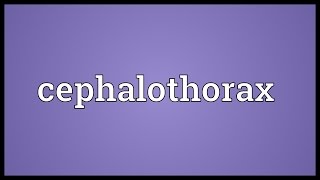 Cephalothorax Meaning [upl. by Eckhardt523]