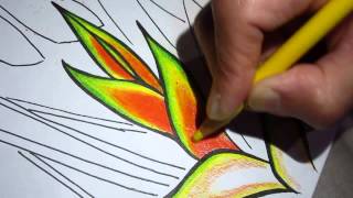 Drawing and coloring  Heliconia flower [upl. by Rivalee103]