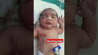 Grunting baby girl breathlessness grunt newborn nicu [upl. by Sidwell977]